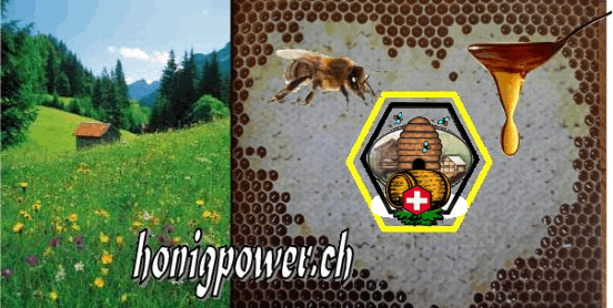 Bienenhonig