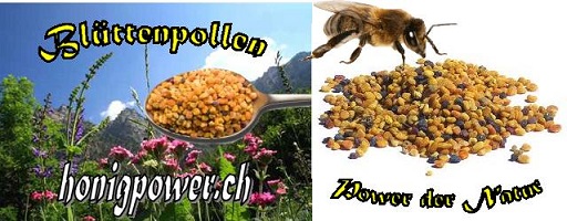 Blütenpollen