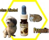 Propolis Lösung ohne Alkohol 5 % Wasserbasis 10 ml Fl. mit Pipette