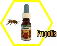 Propolis Öl 20 ml