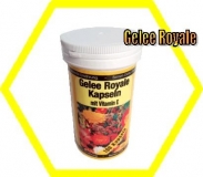 Gelèe Royal Plus Kapseln 100 St.